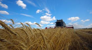 В Україні аграрії зібрали 17,5 млн тонн зерна Рис.1