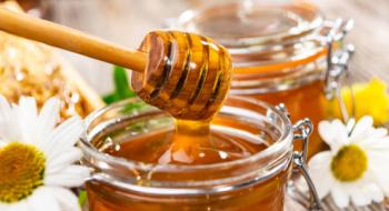 В Україні працює лише один завод із переробки меду Рис.1