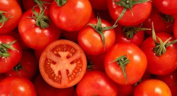 В Україні росте ціна на якісні помідори Рис.1