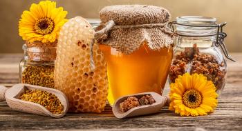 Японія збільшує закупівлю українського меду Рис.1