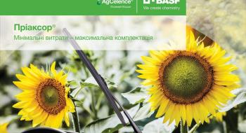  BASF розширив реєстрацію фунгіциду Пріаксор® – тепер його можна застосовувати і для захисту соняшника Рис.1