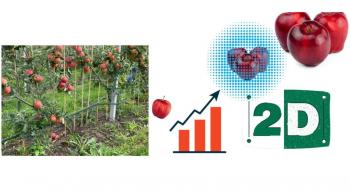 Чому 2D – це майбутнє садівництва, яке відкриває шлях до «фруктових фабрик»? Рис.1