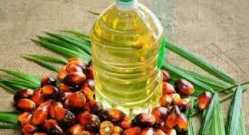 Ціни на пальмову олію відновлюються на тлі нейтрального звіту USDA Рис.1