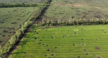 Експерти обговорили проблему розмінування та очищення сільськогосподарських земель Рис.1