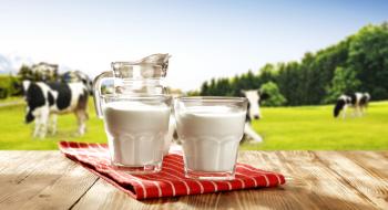 Експорт української молочної продукції досяг рекордного показника за останні два роки Рис.1