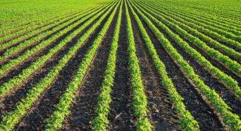 На середину вересня в Україні від шкідників і хвороб було оброблено понад 35 млн га посівів Рис.1