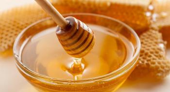 Обсяги експорту меду можуть зменшитись на 70% Рис.1