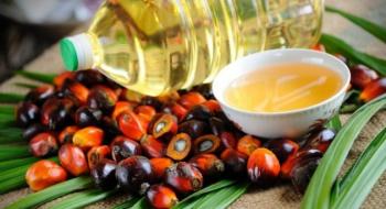 Пальмова олія продовжує дешевшати, що посилює тиск на ціни соєвої та соняшникової олії Рис.1
