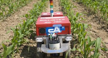Боротьба з бур'янами без обробки ґрунту за допомогою невеликих роботів досліджується у швейцарському проекті Рис.1