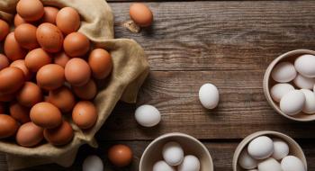 Дорожчі за золото: експерти прогнозують подальше здорожчання яєць Рис.1