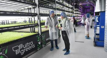 Kaufland та Ultragreens відкривають першу вертикальну теплицю в Румунії Рис.1