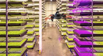 Літаючий садівник: штучний інтелект і дрони вершать революцію у вертикальному землеробстві Рис.1