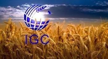 Огляд основних змін у жовтневих балансах IGC по зерновим та олійним Рис.1
