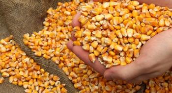 Підвищення прогнозів врожаю в Бразилії обмежує зростання цін на кукурудзу Рис.1