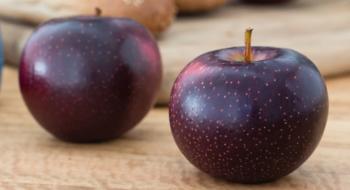 Soluna оголошена новою міжнародною торговою маркою австралійського сорту яблук Рис.1