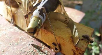 У Бучанському районі бджоли «знешкодили» 2 гранати, які рашисти залишили у вулику Рис.1