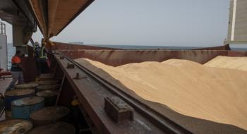 Україна експортувала майже 12,2 млн тонн зерна Рис.1