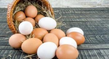 Україна втратила 20% промислового виробництва яєць через війну Рис.1