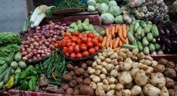 В Україні подешевшали картопля, капуста, столовий буряк та яблука: чого очікувати від цін восени Рис.1
