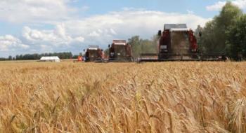 Збір врожаю триває: аграрії намолотили 29 млн тонн зернових Рис.1