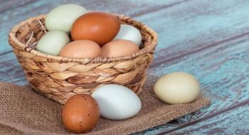 Зростання ціни на курячі яйця зупинилося Рис.1
