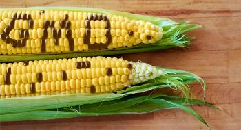 Аграрний комітет ухвалив рішення внести законопроект про врегулювання ринку ГМО на розгляд Верховної Ради Рис.1