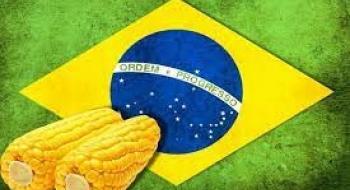Бразилія вже може почати поставки кукурудзи до Китаю, що знизить експорт з України та США Рис.1