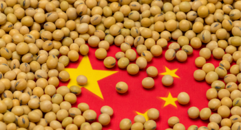 Китай крім кукурудзи планує імпортувати з Бразилії ще й соєвий шрот Рис.1