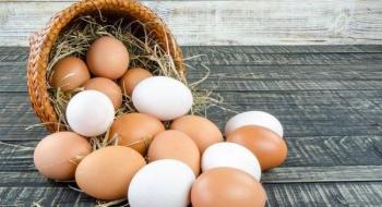 Мінагрополітики та Союз птахівників України домовилися про спільні дії для забезпечення стабільності цін на курячі яйця Рис.1