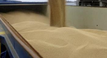 ОПЗ розпочав відвантаження зернових на експорт Рис.1