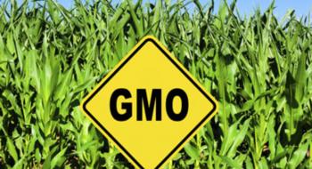 Парламент прийняв за основу законопроект щодо врегулювання у сфері ГМО Рис.1