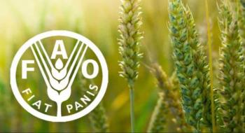 В Україні буде створено Проектний офіс FAO Рис.1