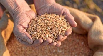  Євросоюз виділить €1 млрд для вивезення зерна з України Рис.1