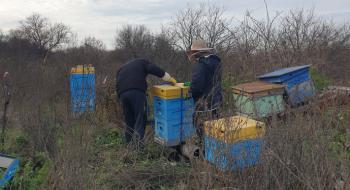 З Харківщини евакуювали бджіл, які пережили окупацію Рис.1