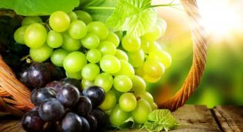 10-15 сортів винограду показують себе добре в Україні Рис.1