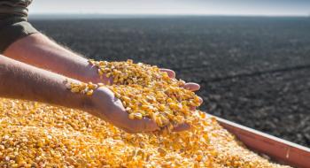 Експорт кукурудзи з України перевищив 10 млн т Рис.1