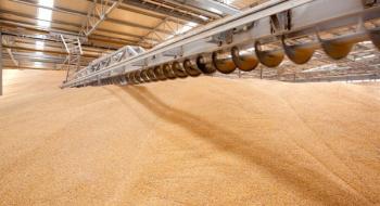Експорт українського зерна наближається до 20 млн т Рис.1