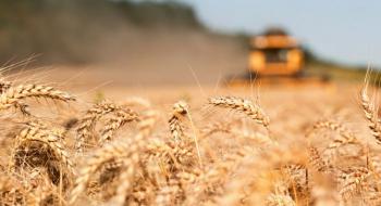 Grain from Ukraine: до Сомалі прибуло судно з 25 тис. тонн української пшениці Рис.1