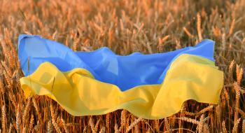 Grain from Ukraine: Розпочинаються переговори щодо закупівлі та поставки зерна пшениці Рис.1
