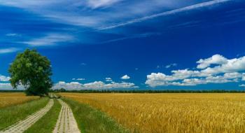 На Львівщині на підтримку сільського господарства у 2023 р виділили понад 30 млн грн Рис.1