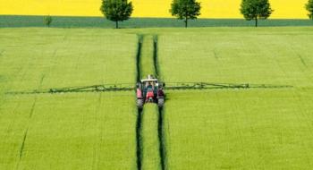 Німецькі фермери сіють більше ріпаку, менше озимої пшениці під урожай 2023 року, - огляд іноземних ЗМІ за 21 грудня 2022 року Рис.1