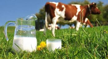 Переробники молока увійшли до списку критично важливих підприємств Рис.1