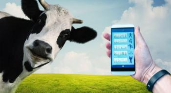 Учені придумали фітнес-браслети для корів, які живляться від руху Рис.1