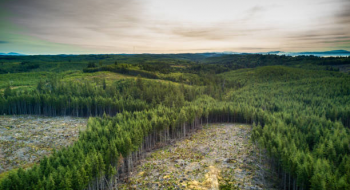 ЄС погодив закон, що забороняє імпорт товарів, пов’язаних із вирубкою лісів, - огляд іноземних ЗМІ за 06 грудня 2022 року Рис.1