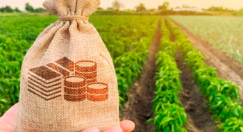 За минулий тиждень аграрії залучили рекордну суму кредитів – майже 4 млрд грн Рис.1