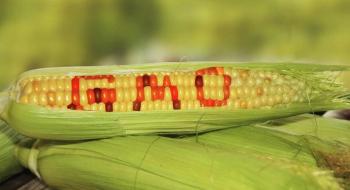 За порушення правил обігу ГМО встановлять штрафи до 17 тис. грн Рис.1