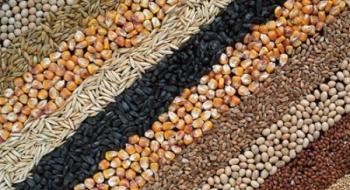 Аграрії Полтавщини намолотили більше 5 мільйонів тонн зерна Рис.1