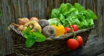 ФАО закуповує в українських виробників насіння овочів Рис.1