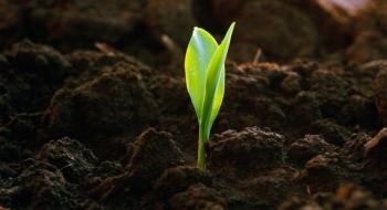 Міф про No-Till: майбутнє за регенеративним органічним сільським господарством Рис.1