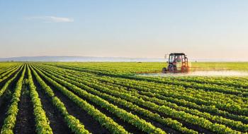 Мінагрополітики прийнято зміни до Розрахунку частки сільськогосподарського товаровиробництва Рис.1